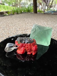 Image 8 of Abalone and coral toad
