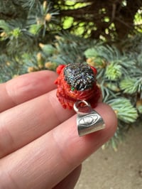 Image 5 of Abalone and coral toad
