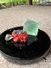 Image 6 of Abalone and coral toad