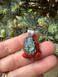 Image 7 of Abalone and coral toad