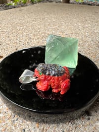 Image 10 of Abalone and coral toad