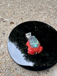 Image 9 of Abalone and coral toad