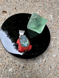 Image 13 of Abalone and coral toad