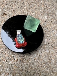 Image 17 of Abalone and coral toad