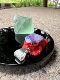 Image 4 of Coral and shell toad 