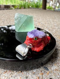 Image 2 of Coral and shell toad 