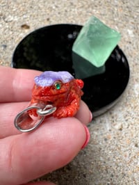 Image 3 of Coral and shell toad 