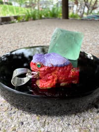 Image 1 of Coral and shell toad 