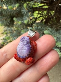 Image 7 of Coral and shell toad 