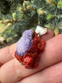 Image 8 of Coral and shell toad 