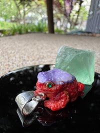 Image 9 of Coral and shell toad 