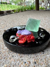 Image 10 of Coral and shell toad 