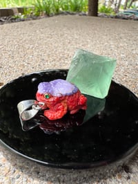 Image 11 of Coral and shell toad 