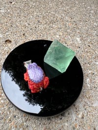 Image 6 of Coral and shell toad 