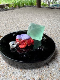 Image 12 of Coral and shell toad 