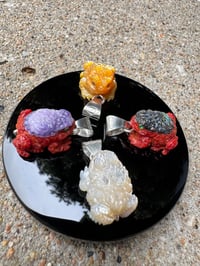 Image 14 of Coral and shell toad 