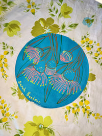 Image 2 of 5/1 Blue Gum Flowers