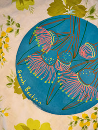 Image 3 of 5/1 Blue Gum Flowers