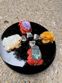 Image 21 of Abalone and coral toad