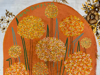 Image 2 of 7/1 Orange Brown Billy Buttons