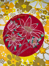 Image 2 of 10/1 Red Flannel Flowers