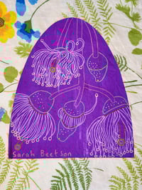 Image 2 of 11/1 Purple Gum Blossoms