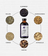 Elderberry Syrup
