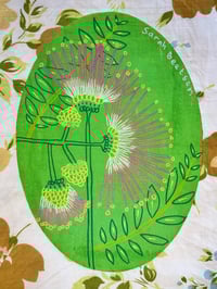 Image 2 of 14/1 Green Lace Flower