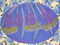 Image 2 of 15/1 Cornflour Blue Gum Blossoms