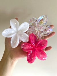 Women hair clips