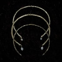 Image 8 of TORQUE SPINAL