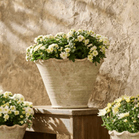 Image 4 of Scalloped Wave Planter Pot