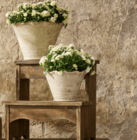 Image 1 of Scalloped Wave Planter Pot