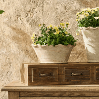 Image 1 of Scalloped Wave Planter Bowl