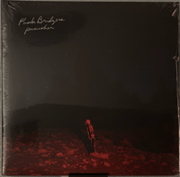 Phoebe Bridgers- Punisher 