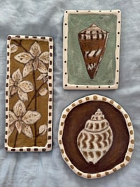 Image 3 of Cone Shell orignal plaster artwork