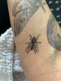 Image 16 of Fine line tattoos