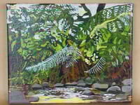 Ferns Hanging in the Creek 