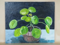Pilea Plant