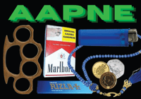 AAPNE