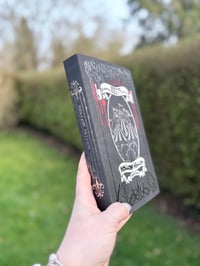 Image 2 of SCRATCH AND DENT Jodie King Hollow Hellion