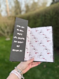 Image 4 of SCRATCH AND DENT Jodie King Hollow Hellion