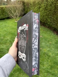 Image 5 of SCRATCH AND DENT Jodie King Hollow Hellion