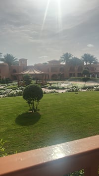 Image 2 of Biggest t 