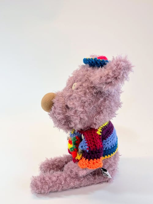 Image of Ziggy the bonkers bear