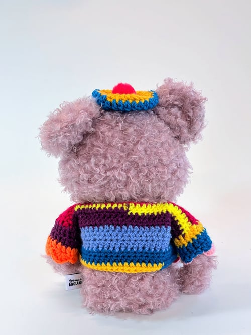 Image of Ziggy the bonkers bear