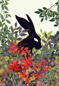 Summer Hare