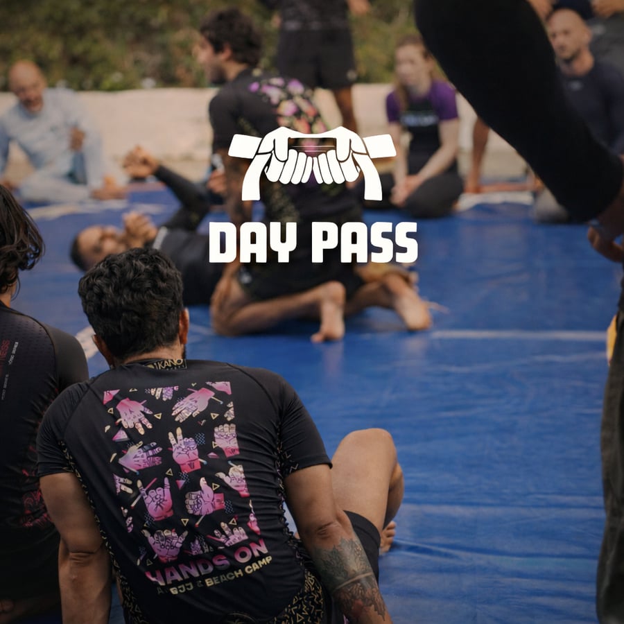 Image of Day pass training 