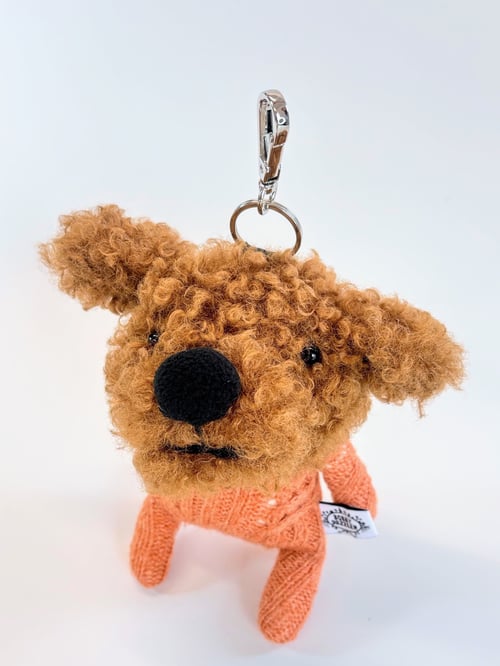 Image of  Oliver the cuddly pup 