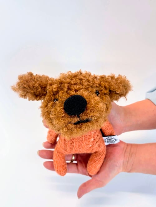 Image of  Oliver the cuddly pup 